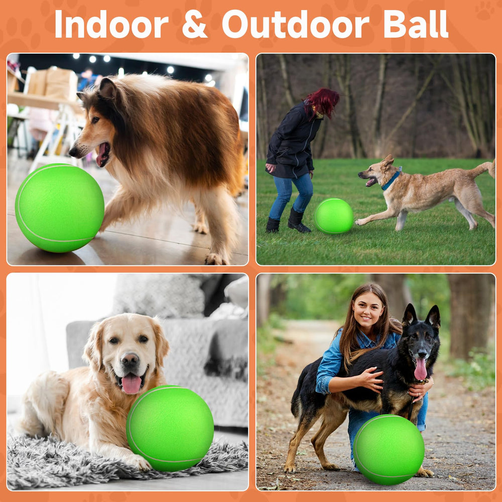 QDAN interactive ball promotes fetch, toss, and tug sessions for daily enrichment.