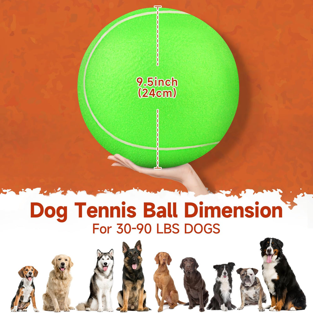 QDAN big-green ball supports indoor and outdoor play for dogs of all sizes.