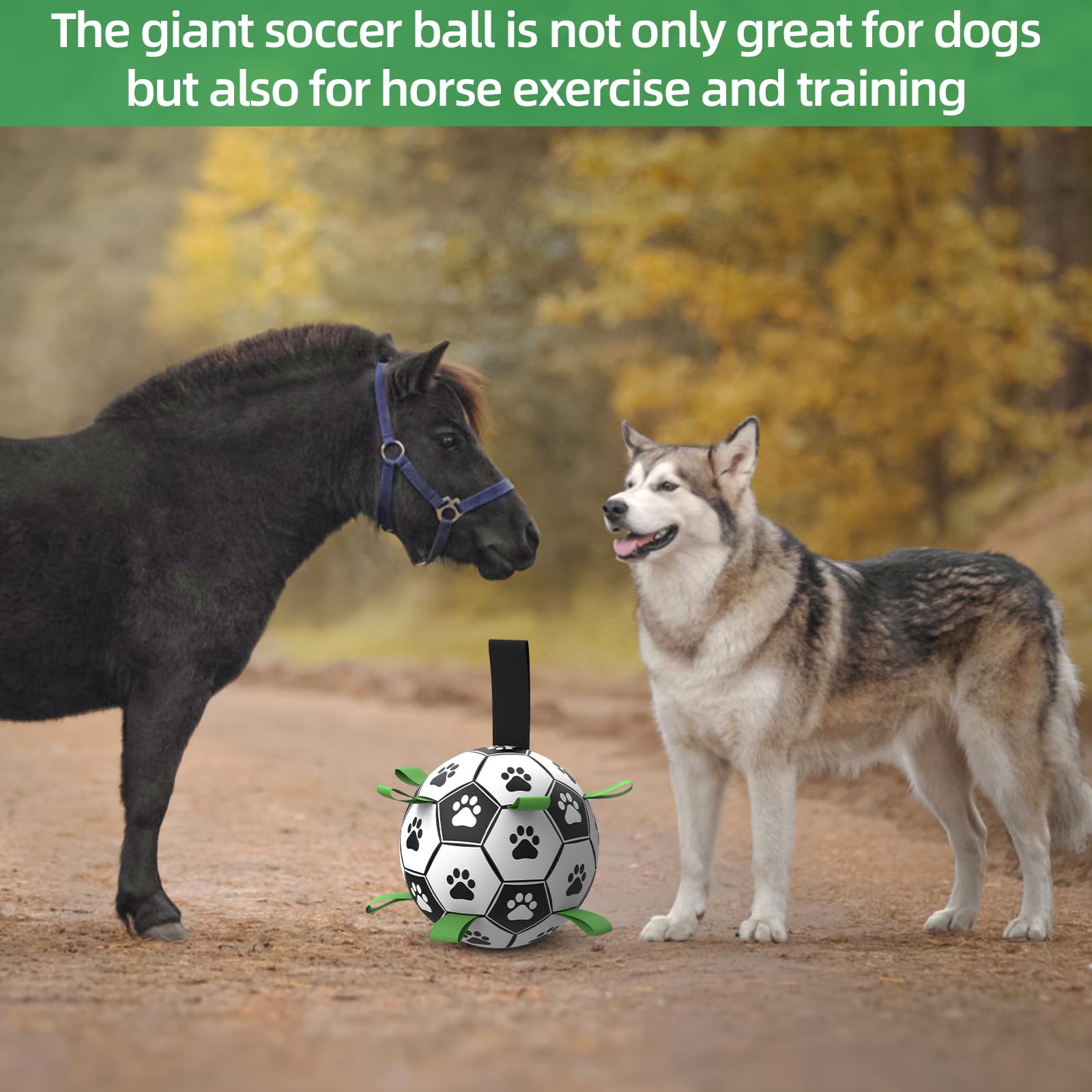 QDAN dog ball withstands rough bites and daily use without deformation.