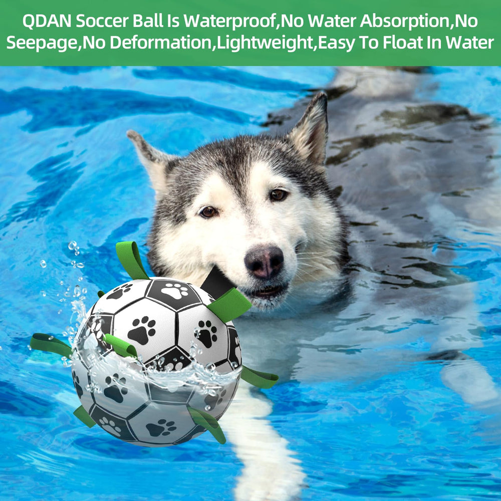 QDAN World Cup-inspired toy sparks running and chasing in large dogs.