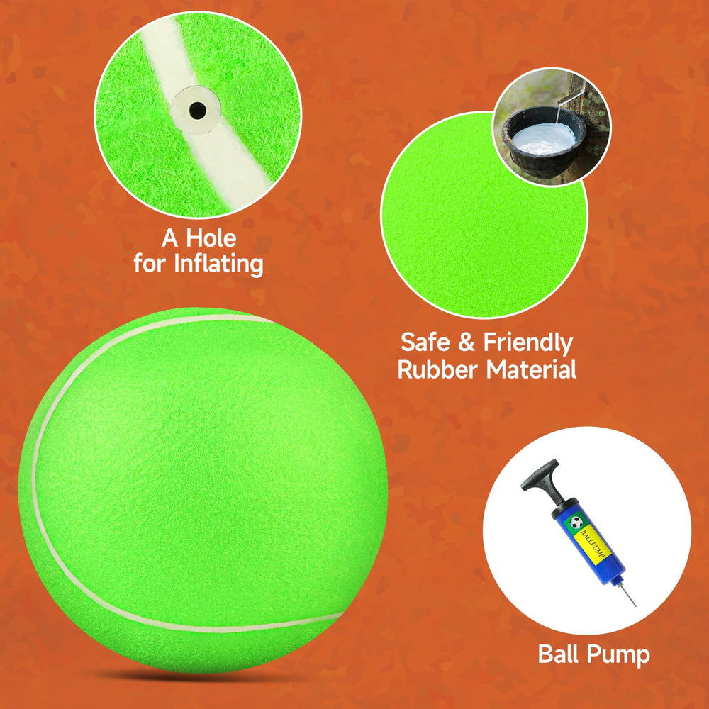 QDAN chew-resistant exterior helps durability during lively games and training.
