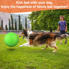 QDAN rubber dog ball uses safe material for worry-free outdoor play.