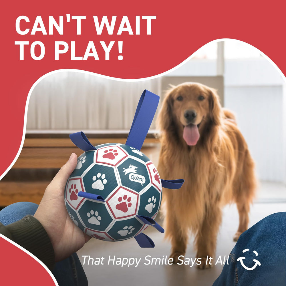 QDAN 8-inch ball supports active dogs during outdoor and indoor play.