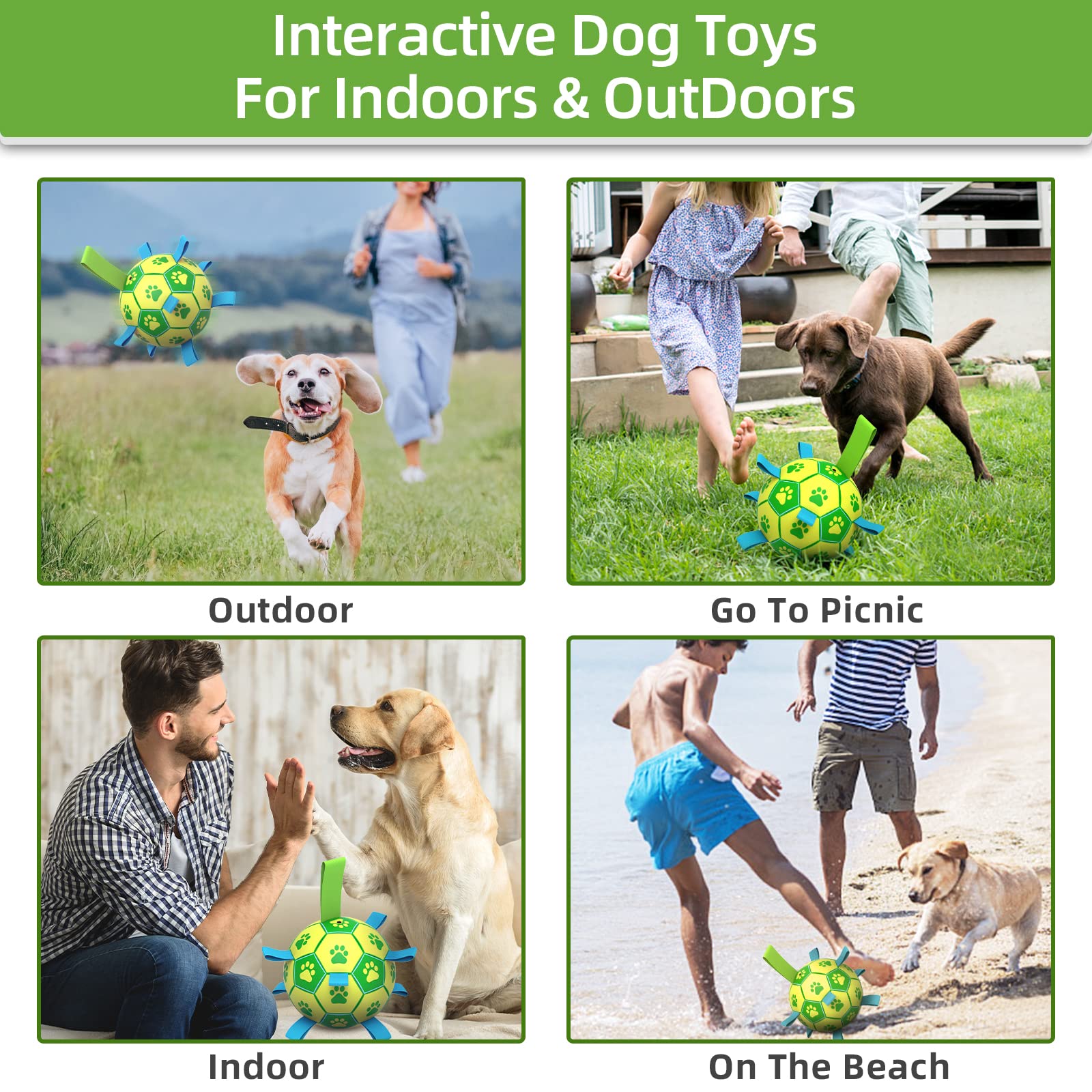 QDAN after-sales support for the dog ball toy and questions.
