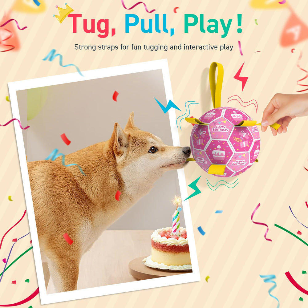 QDAN ball with bell inside for audible rewards during play.