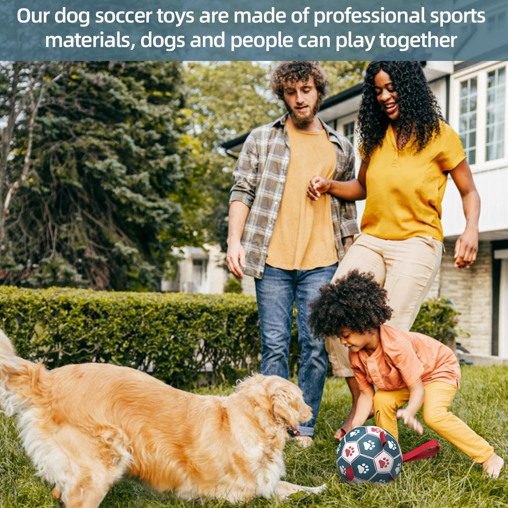 QDAN birthday gift dog toy for joyful celebrations