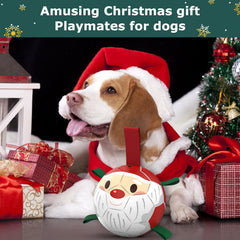 QDAN Christmas dog ball 6-inch diameter—durable rubber for outdoor kicking and bouncing