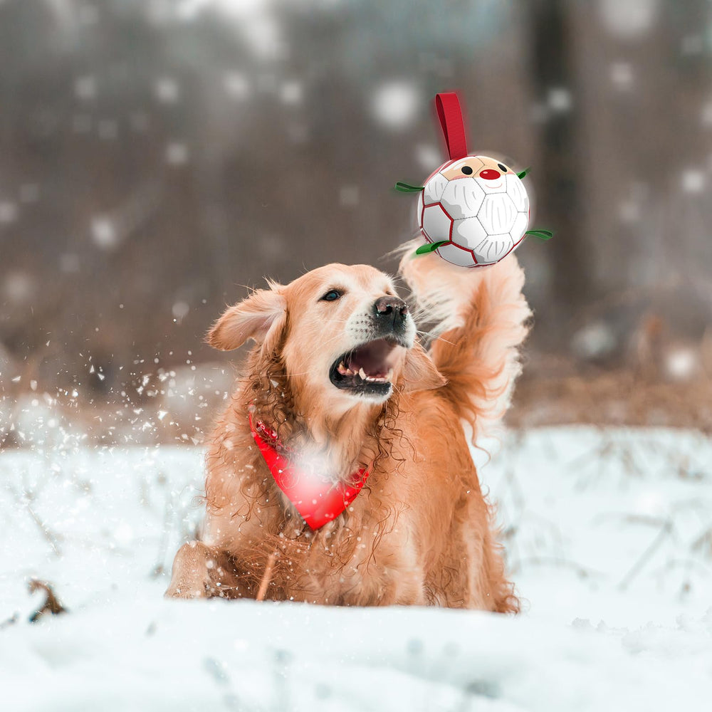 QDAN Christmas dog ball color close-up—vivid red, green, white for festive outdoor play