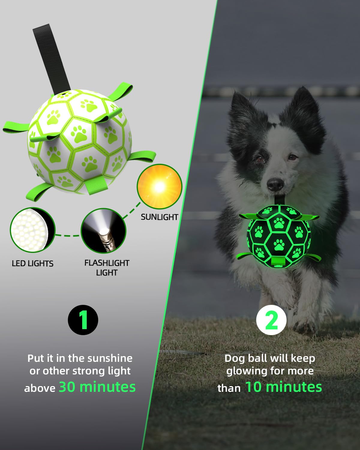 QDAN premium glow dog ball charges in light for extended night play