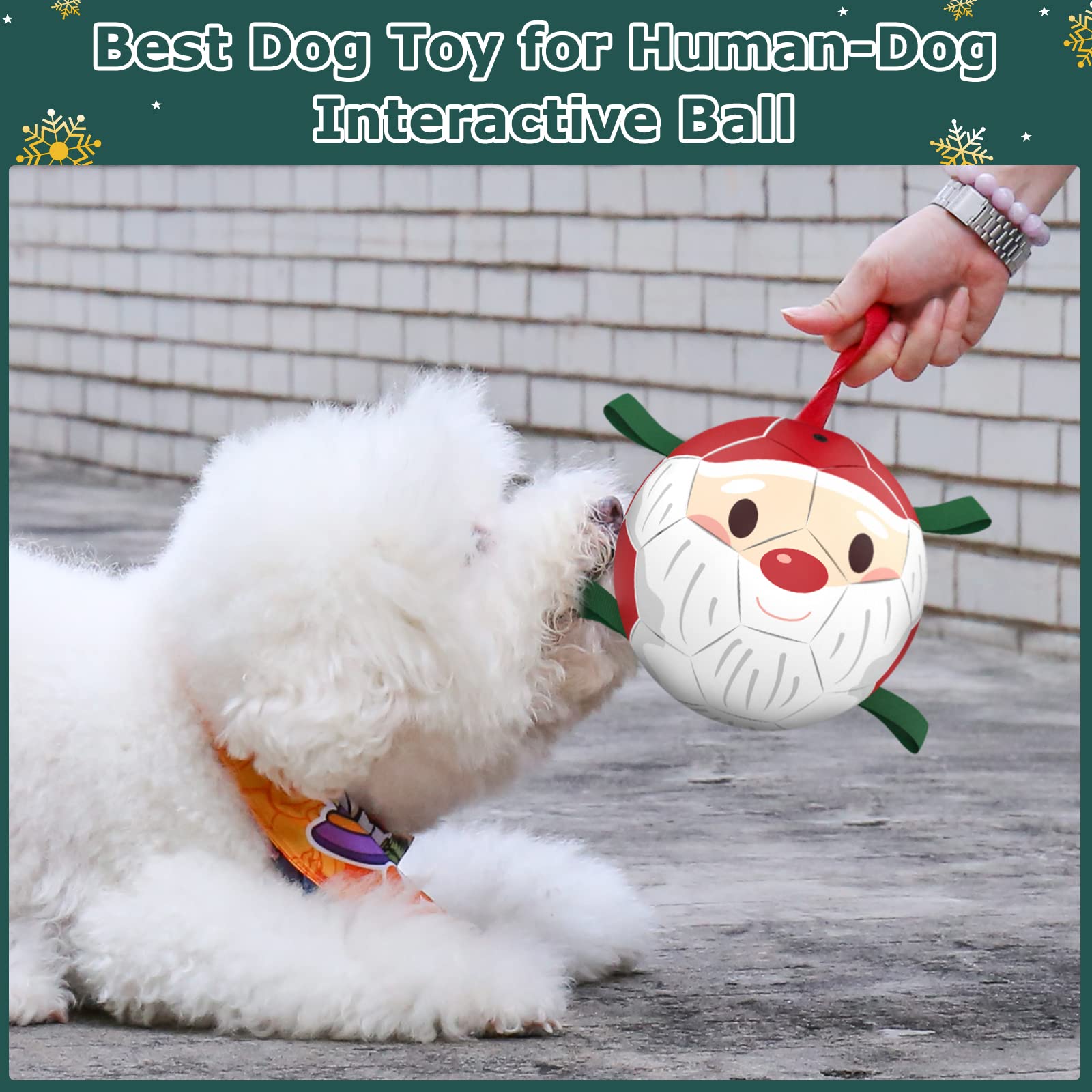 QDAN ball suitable for indoor and outdoor use—keeps dogs engaged and energized