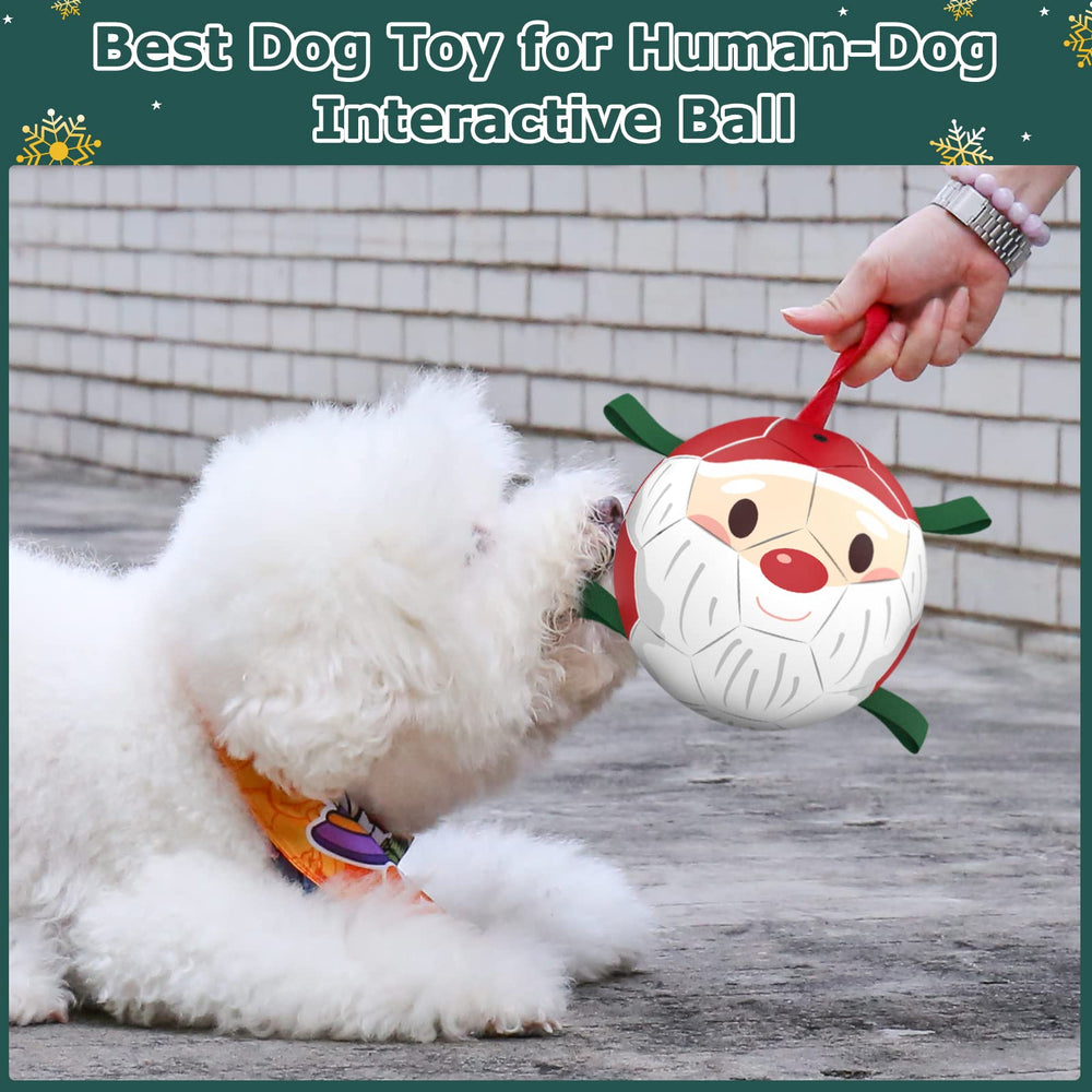 QDAN ball suitable for indoor and outdoor use—keeps dogs engaged and energized