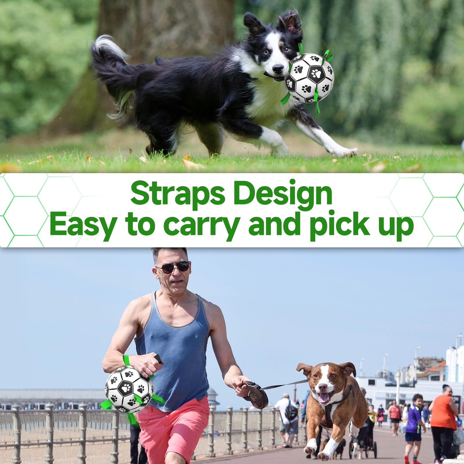 QDAN interactive dog ball for training and fun