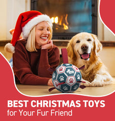 QDAN dog ball with nylon straps aids throwing and tug games for interactive outdoor fetch