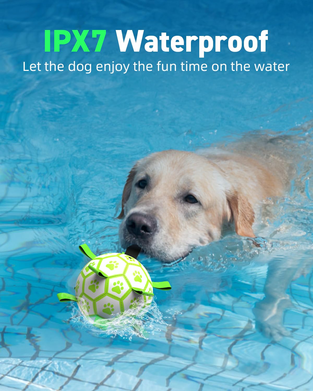 QDAN 6-inch glow ball used as a birthday toy for pets