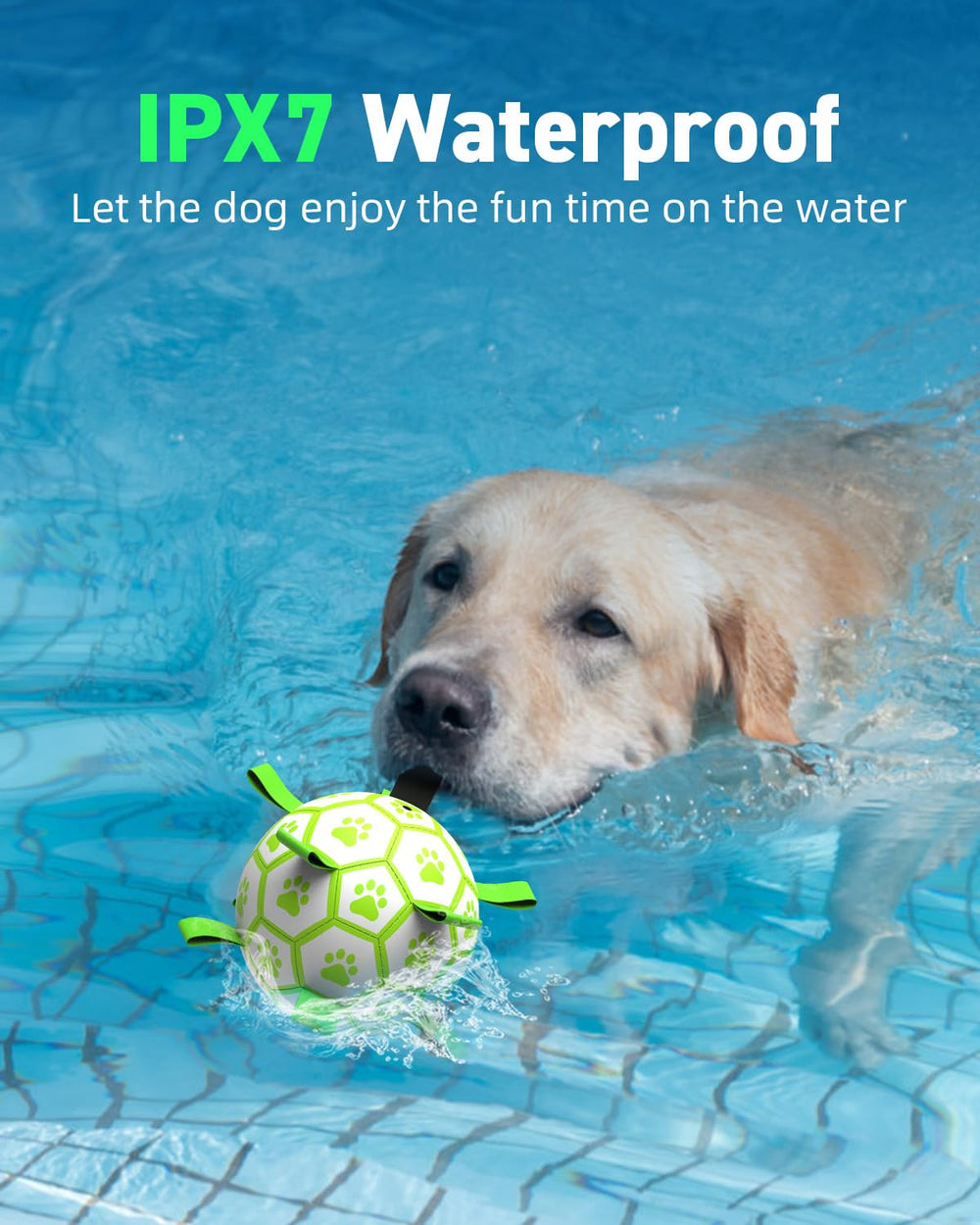 QDAN 6-inch glow ball used as a birthday toy for pets