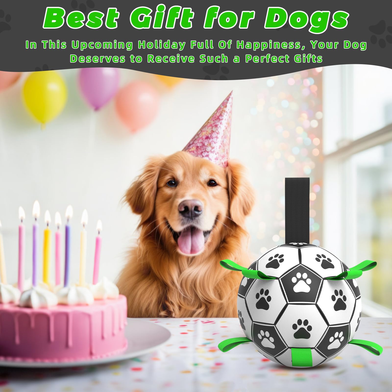 QDAN dog herding ball for puppy play and training outdoors.