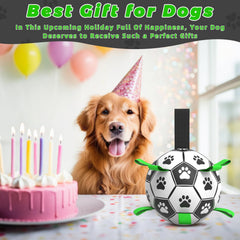 QDAN dog herding ball for puppy play and training outdoors.