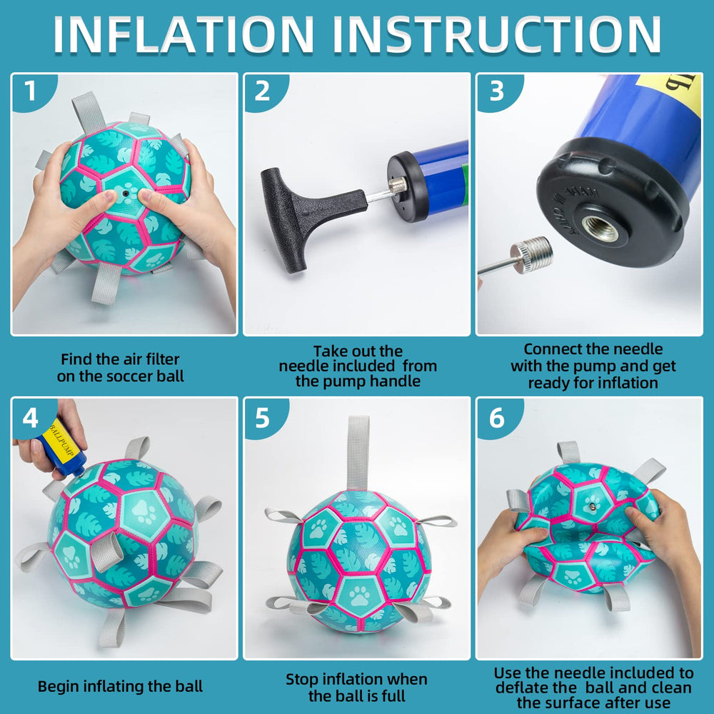 QDAN puppy playtime gift unboxing featuring lake-blue ball.