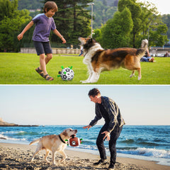 QDAN dog soccer ball with nylon tabs creates unpredictable bounce for exciting chase.