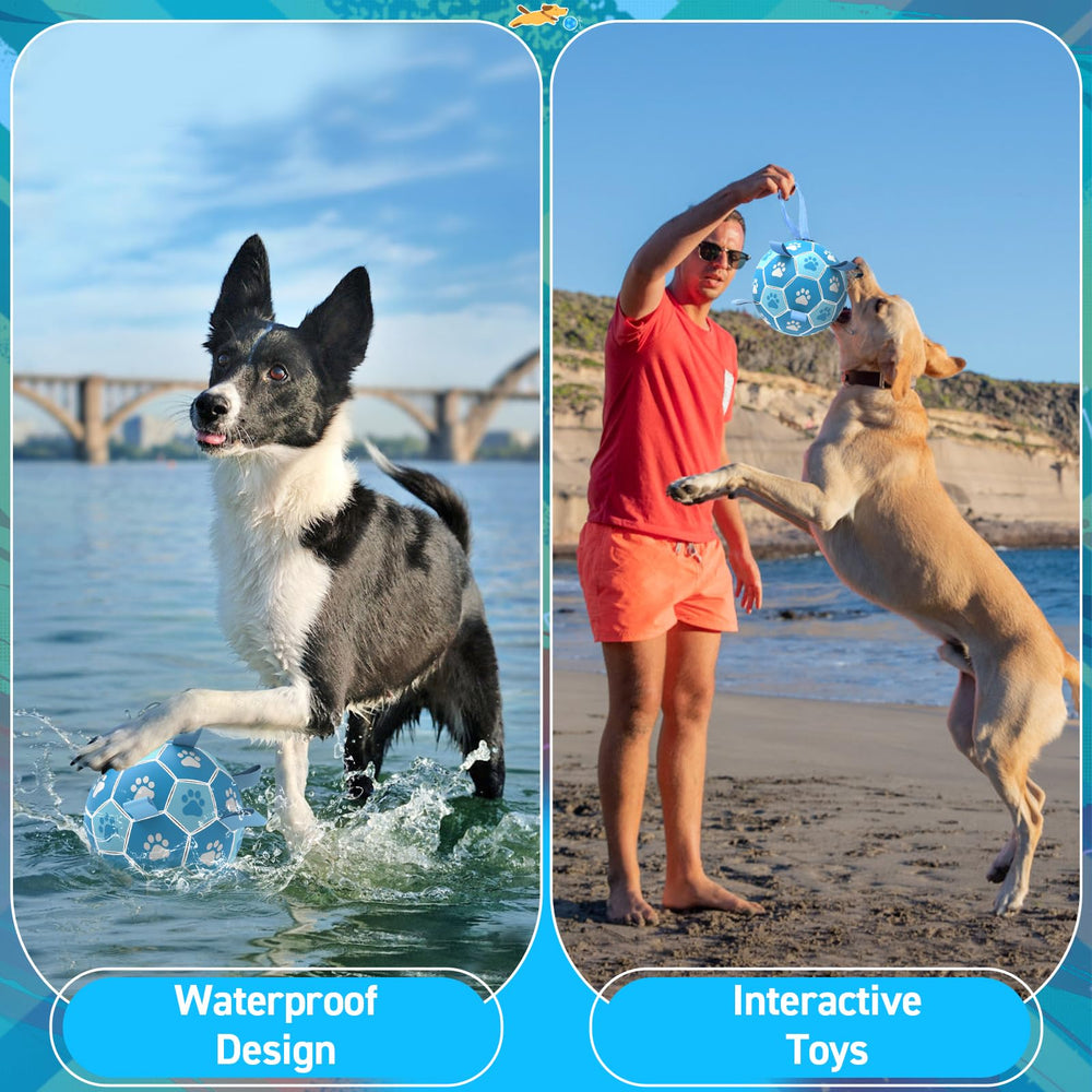 QDAN 6-inch diameter dog ball ideal for medium to large dogs.