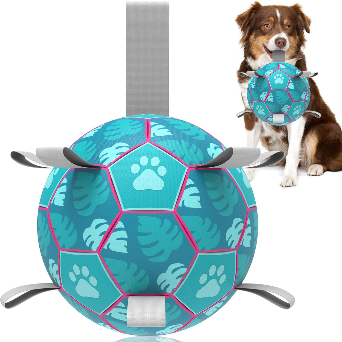 QDAN dog soccer ball front view shows durable, floatable toy for active play.