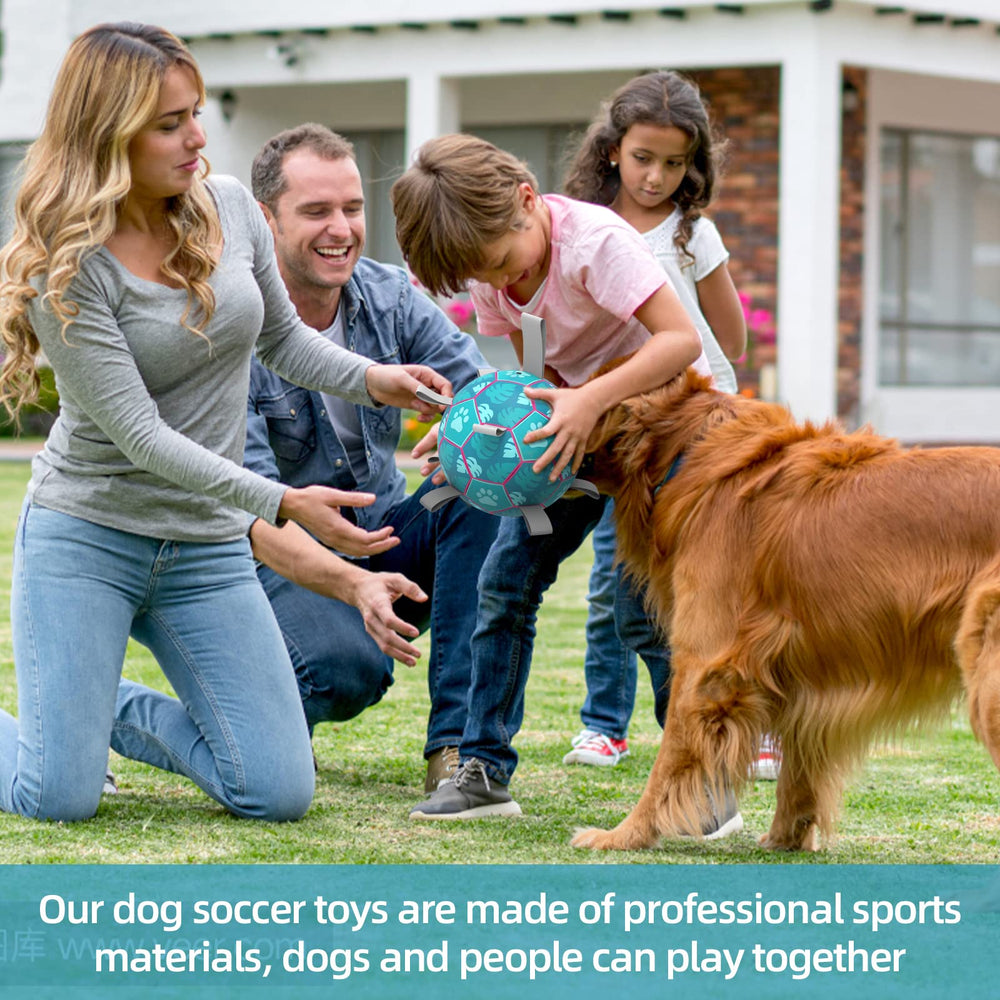 QDAN dog soccer ball on lake demonstrates water-friendly fetch.