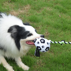 QDAN dog soccer ball with strap for engaging fetch sessions.