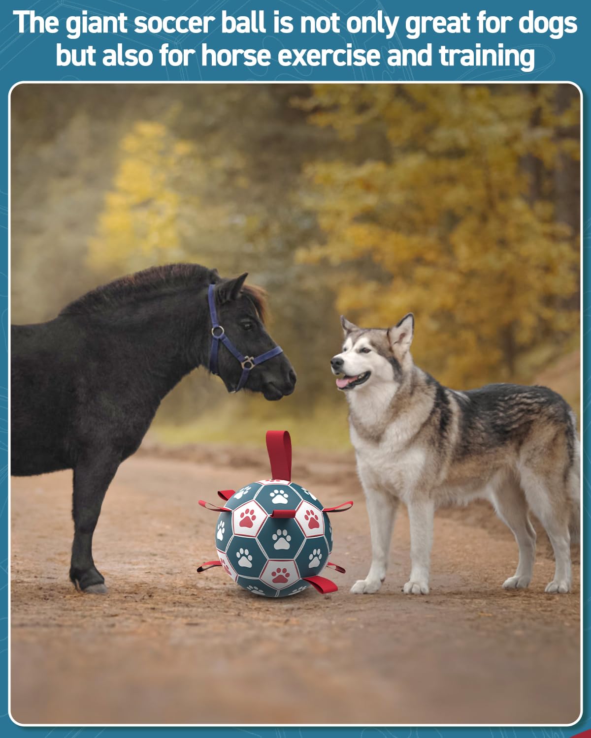 QDAN ball used in water, perfect for pool or beach play