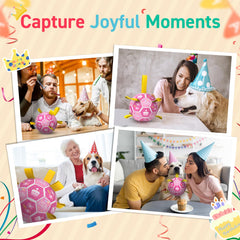 QDAN dog soccer ball with straps for easy fetch and control.