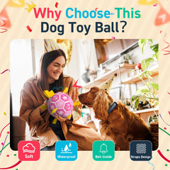 QDAN dog toy for recording sessions with engaging sounds.