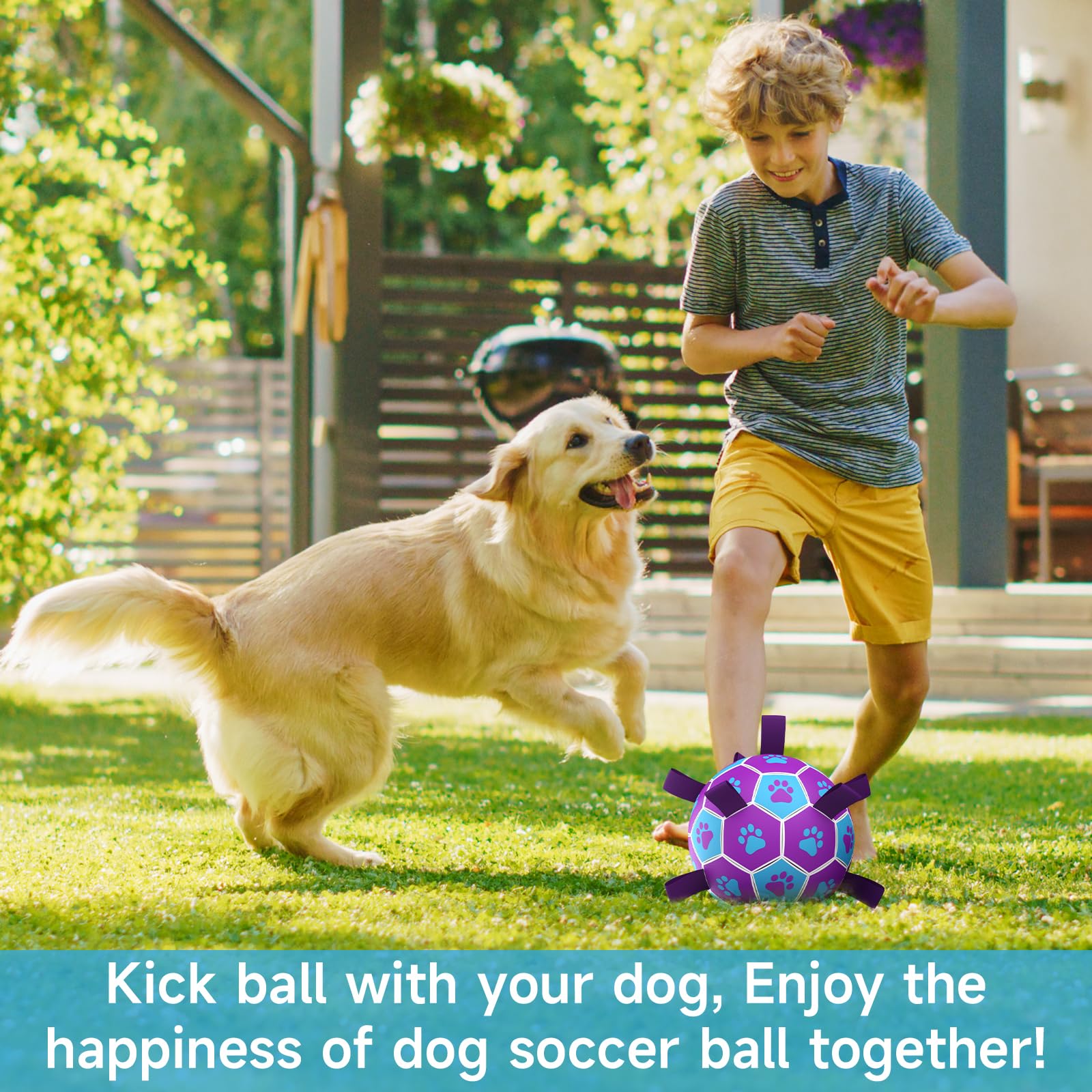 QDAN dog soccer ball with nylon seams for erratic bounce.