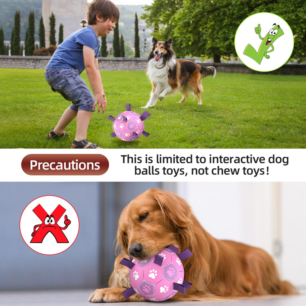 QDAN dog soccer ball includes pump and needle adapter for quick inflation