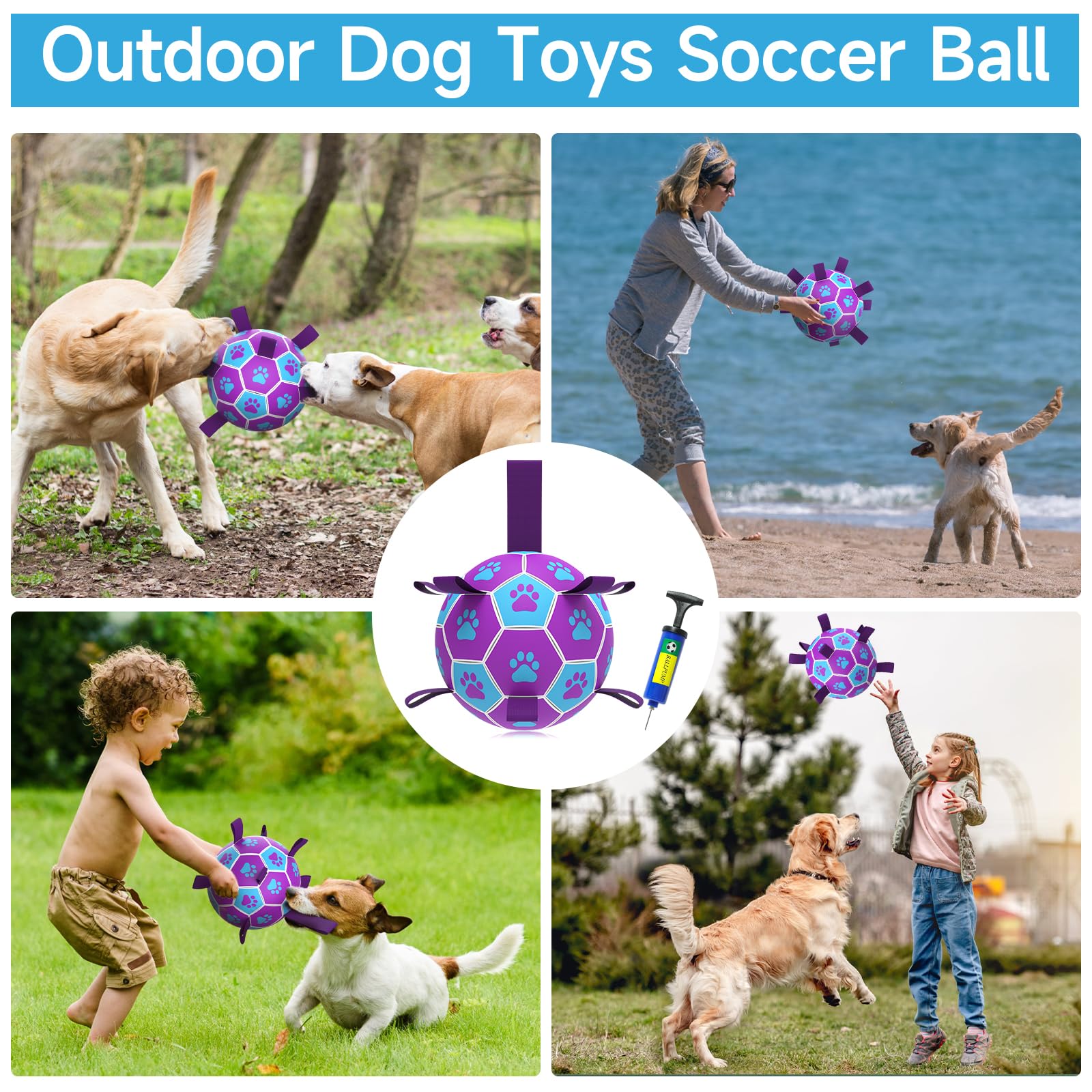 QDAN 8-inch ball with pump and needle adapter for inflation.