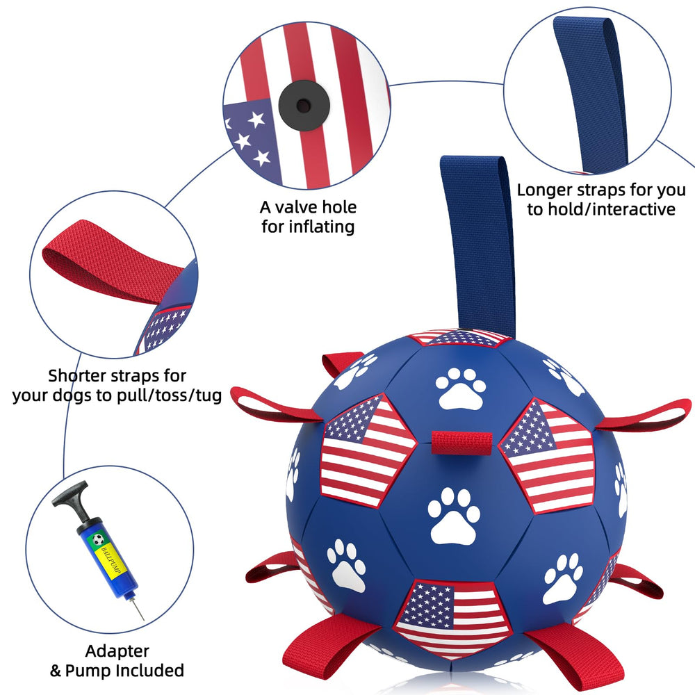QDAN 6 inch ball designed for small and medium dogs.