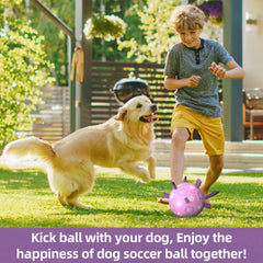 QDAN dog soccer ball with nylon tabs closeup showing rugged construction for durability