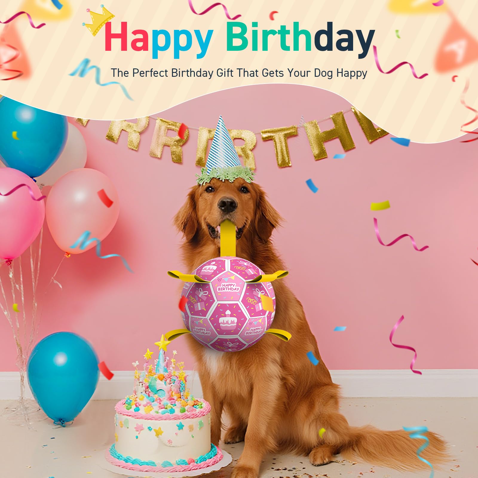 QDAN durable polyurethane ball designed for fitness, fetch, and training.