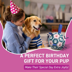 QDAN durable PU ball in action provides safe bouncing for upbeat fetch.