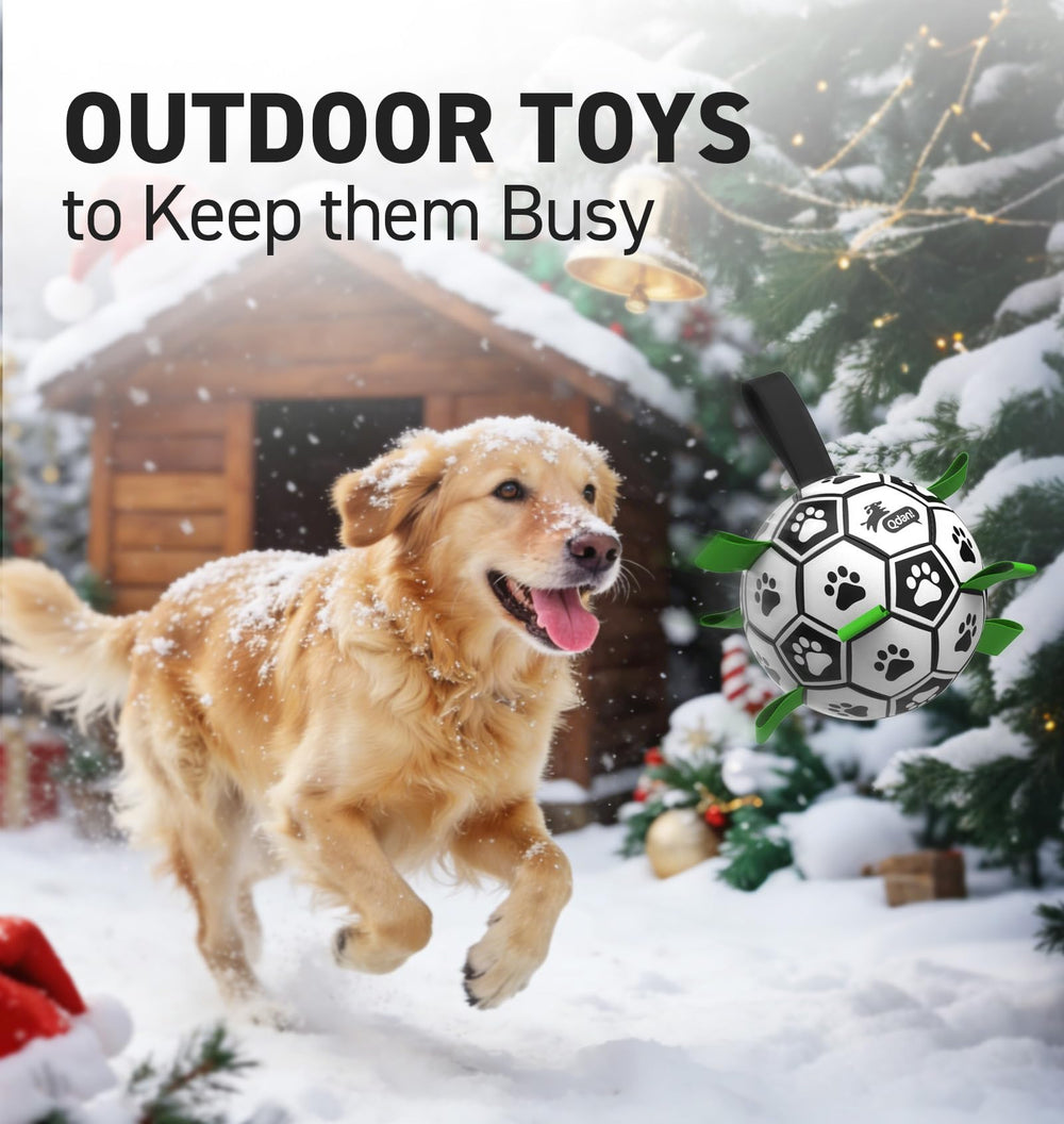 QDAN durable PU dog ball with soft feel and longevity