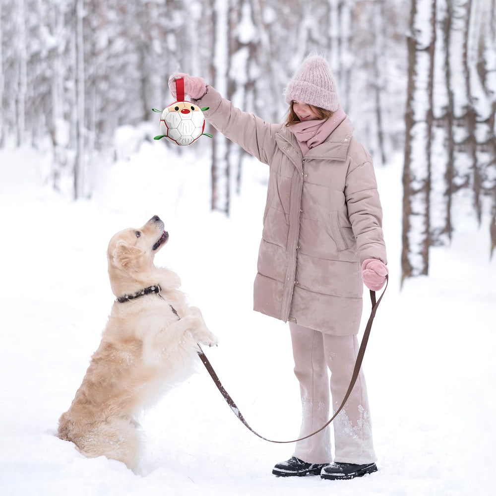 QDAN durable rubber ball for outdoor play—designed for lively yard games