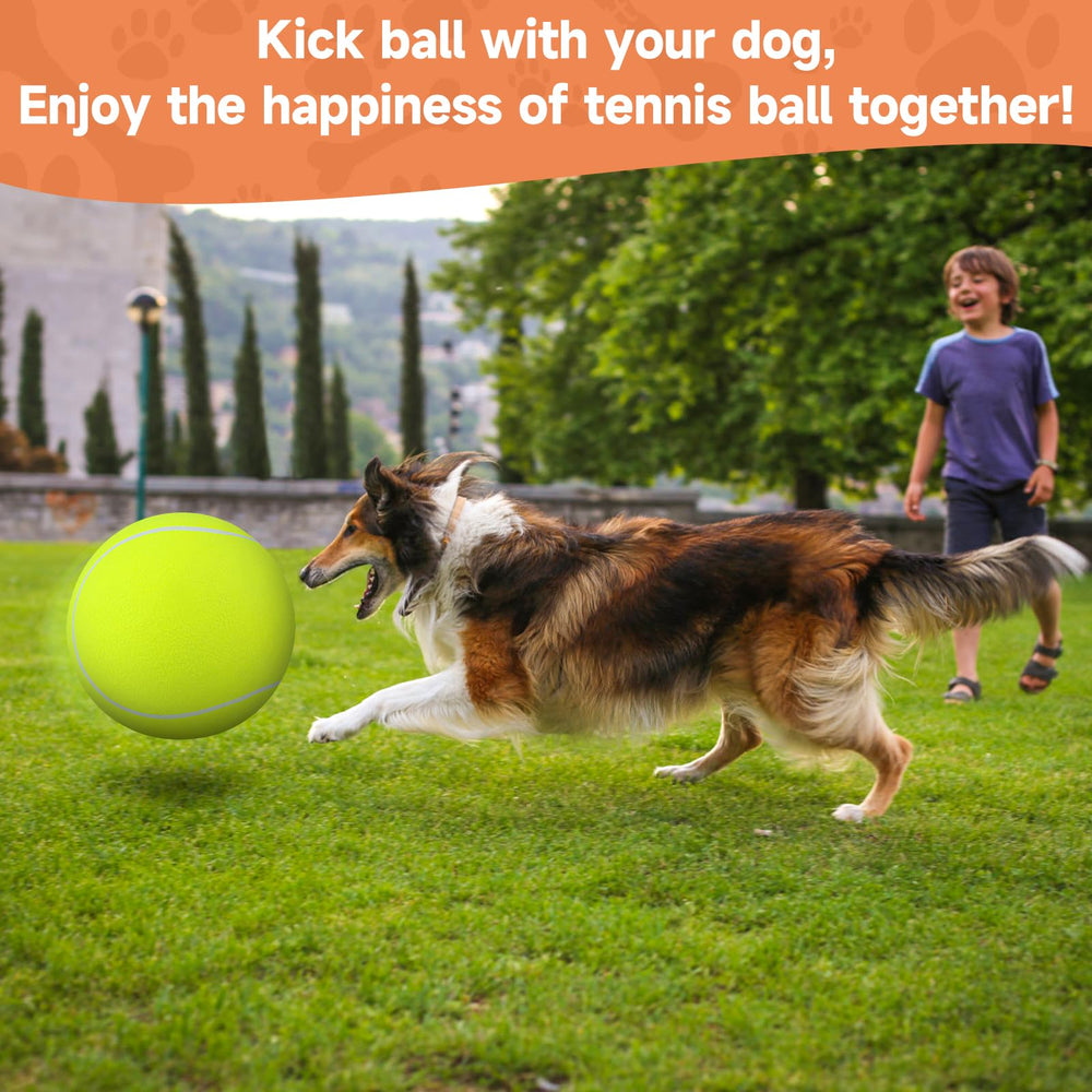 QDAN giant-dog-ball shown as a thoughtful Christmas or birthday gift for pets.