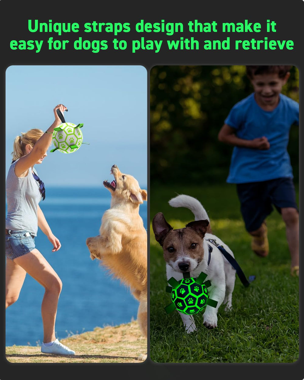 QDAN glow-in-the-dark dog ball ready for night fetch and training