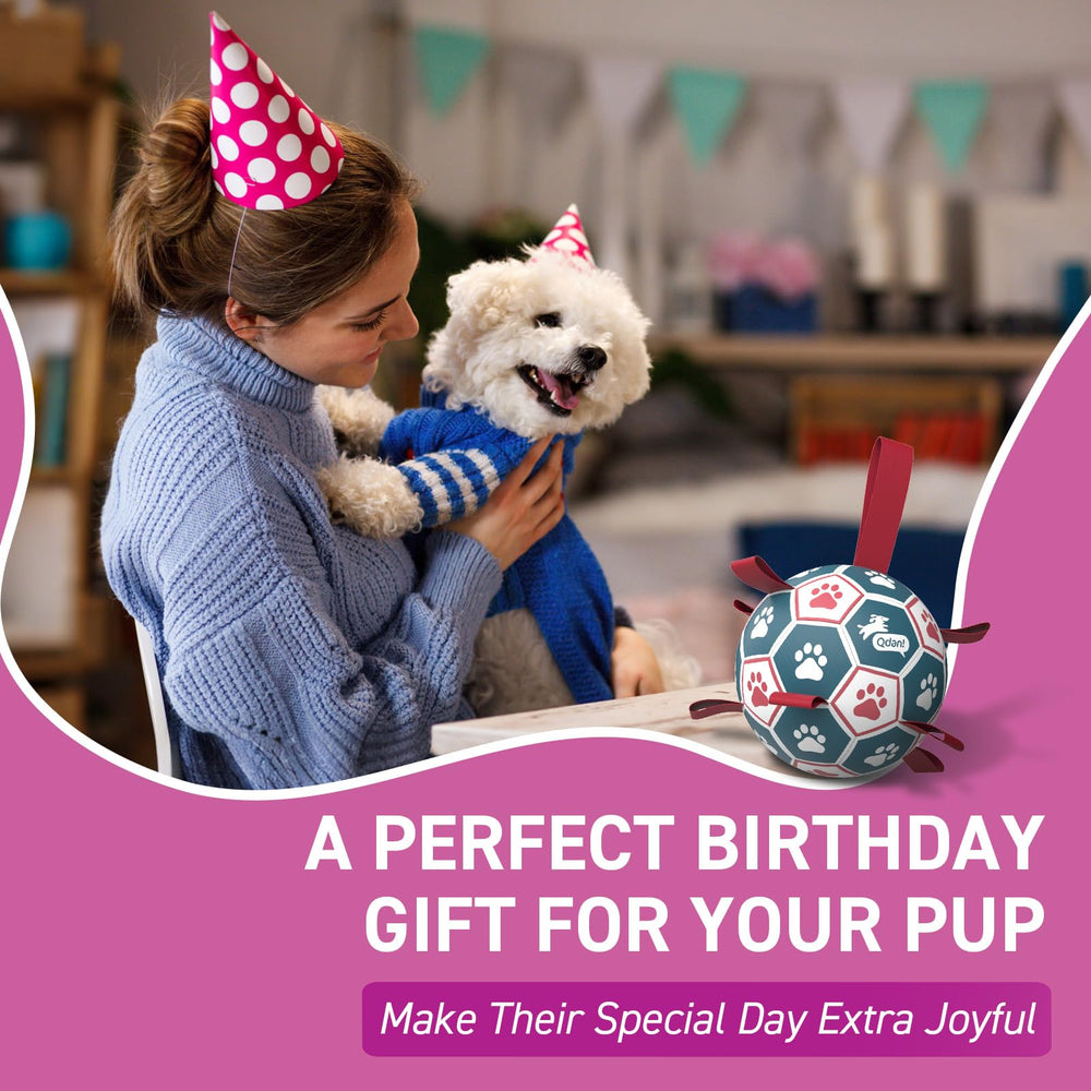 QDAN inflatable ball with pump and needle makes setup quick for spontaneous backyard play