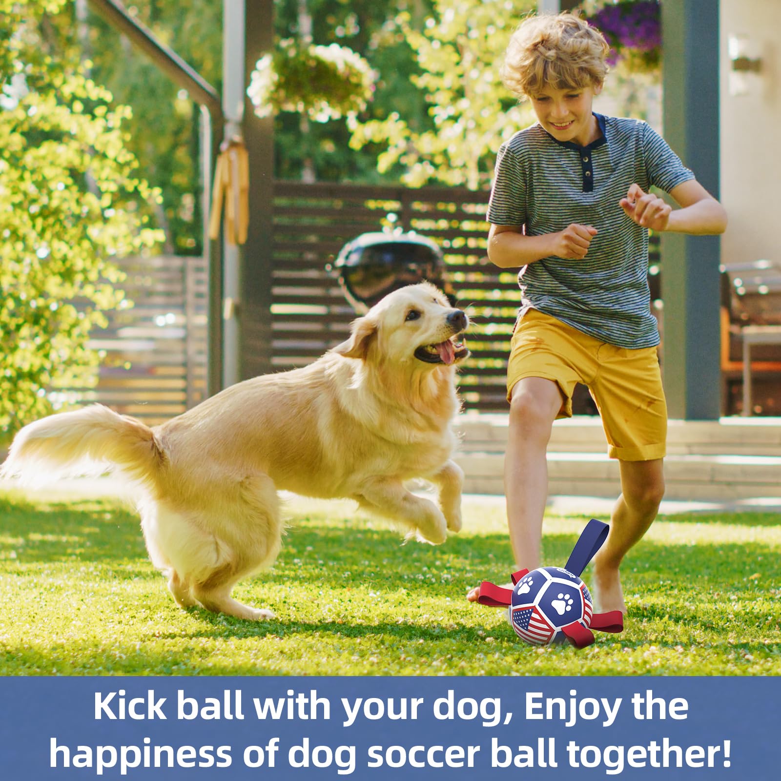 QDAN interactive dog ball with erratic bounce to spark curiosity.