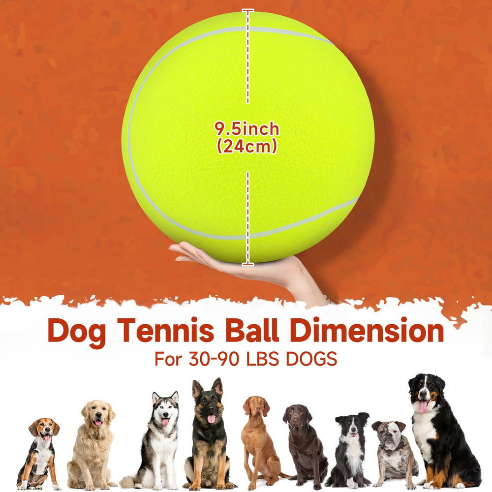 QDAN natural rubber ball for endless indoor-outdoor fun and safe retrieval.
