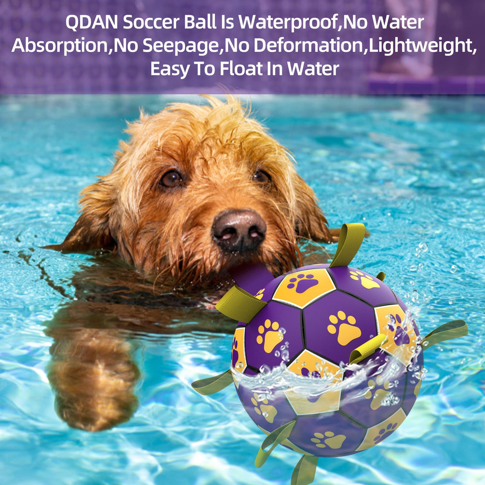 QDAN non-toxic PU material ball ensures safe dog play