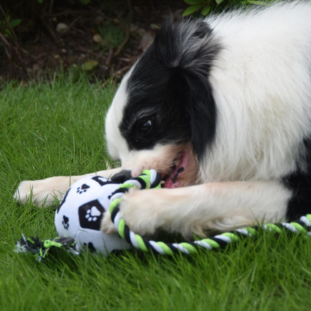 QDAN not-squeaky note indicating rope toy design for interactive play.