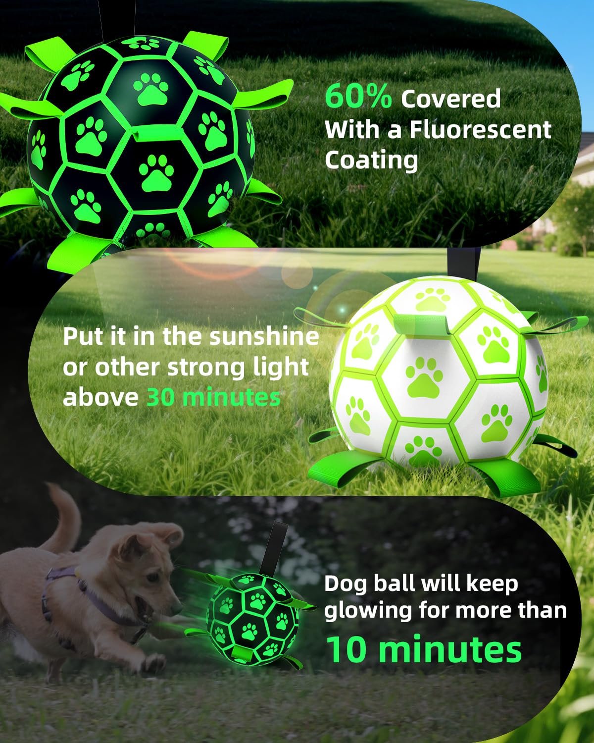 QDAN outdoor soccer ball for dogs ready for yard adventures