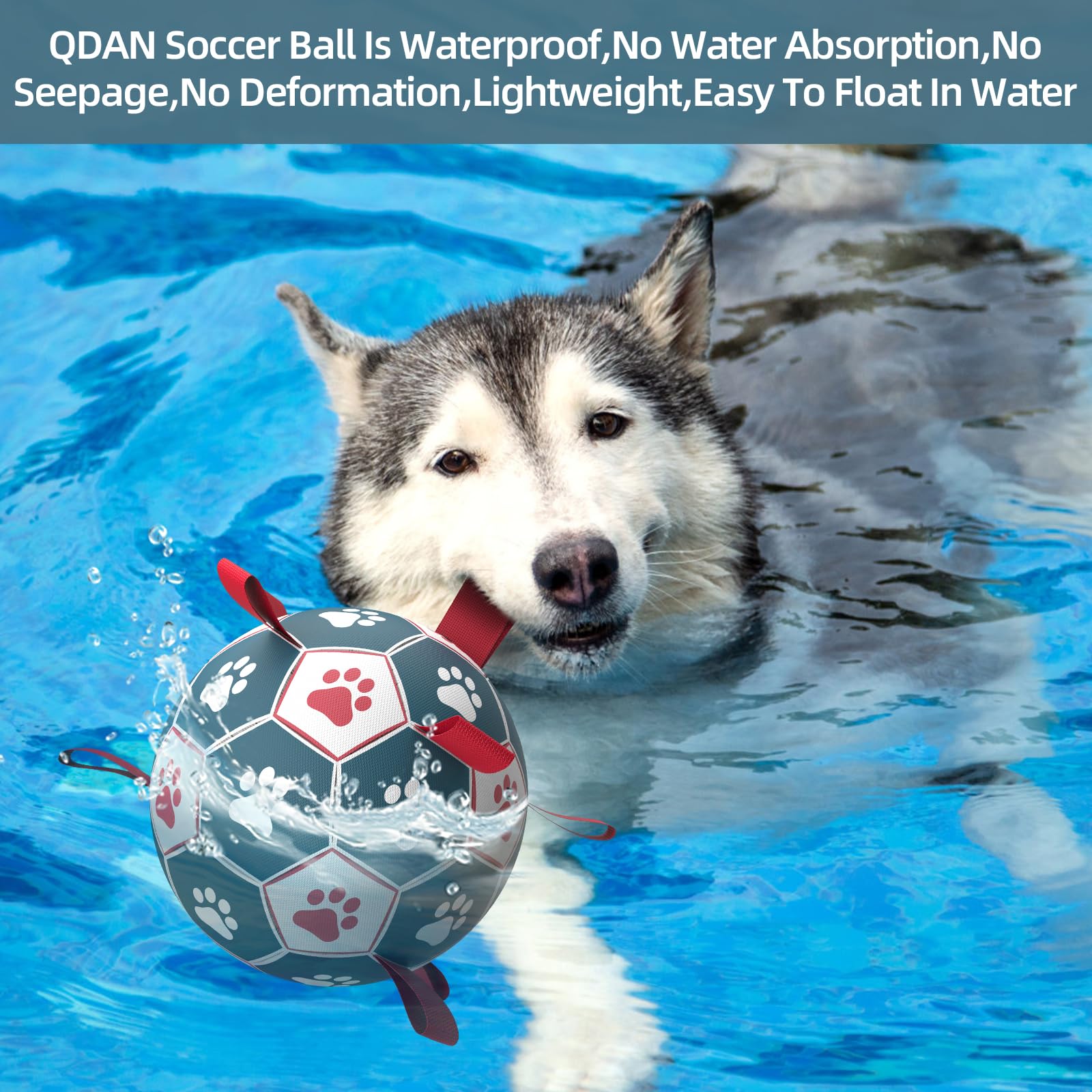QDAN outdoor fetch ball for large dogs