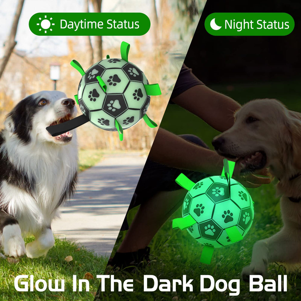 QDAN outdoor interactive dog toy used at dusk for active fetch.