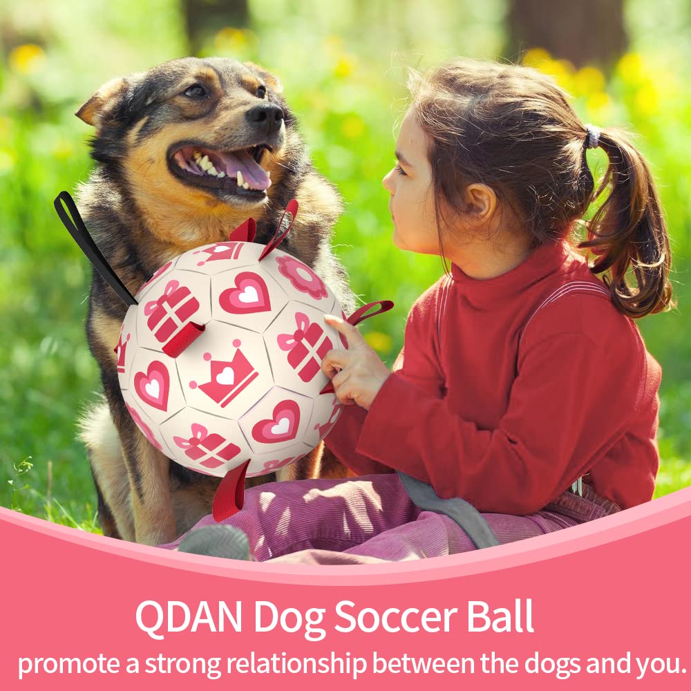 QDAN pink dog ball in action—durable for active dogs